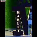 Customized A to Z Photo Name Board With Multicolor Led and Remote #1269