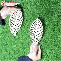 Leaf Design MDF Wooden Craft Cutout Any Shapes & Patterns | (Pack Of 6pcs)