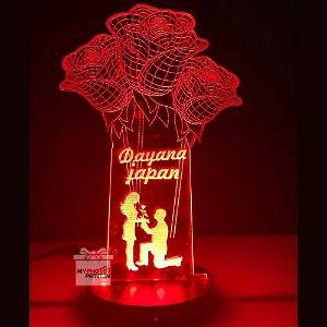 Personalized Romantic Acrylic 3D illusion LED Lamp with Color Changing Led and Remote SG