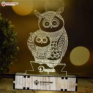Personalized Mom & Son Owl  Acrylic 3D illusion LED Lamp with Color Changing Led and Remote SG