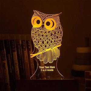Owl Acrylic 3D illusion LED Lamp with Color Changing Led and Remote SG