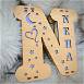 Customized A to Z Wooden Name Board #999