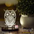 PERSONALIZED OWL ACRYLIC 3D ILLUSION LED LAMP WITH COLOR CHANGING LED AND REMOTE#1386